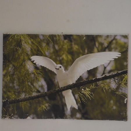 Butterfly Villas Grand' Anse Buitenkant foto
